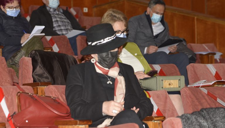 Mirela Saucă, Zoro, Botosani, Consiliul Judetean, PNL (1)