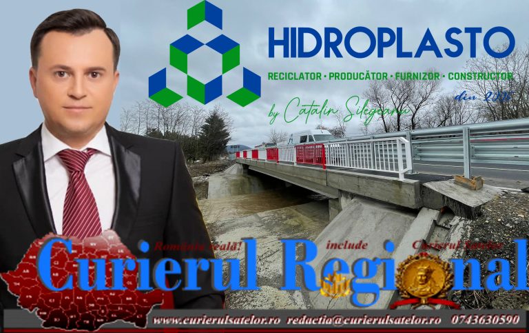 Catalin Silegeanu, Hidroplasto copy