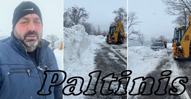 Costel Romanescu, Paltinis, iarna, zapada