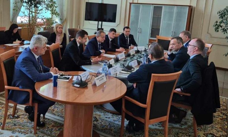 Catalin Silegeanu, senat, aviatie, comisie (1)