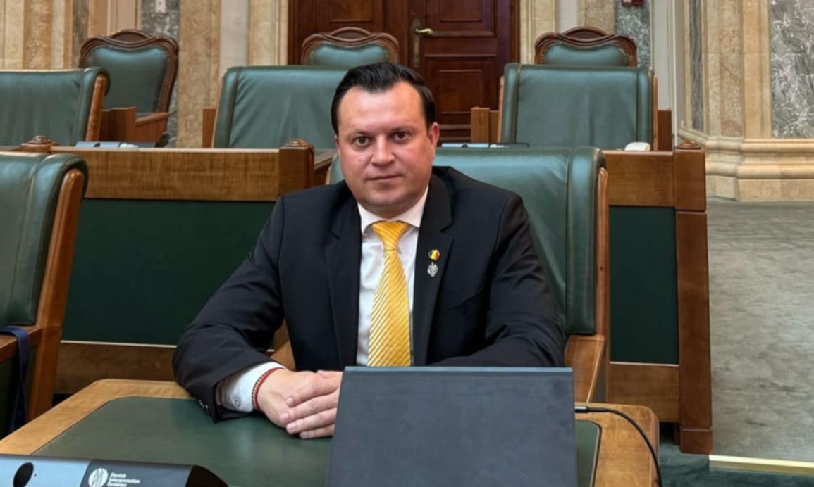 Silegeanu, senator AUR
