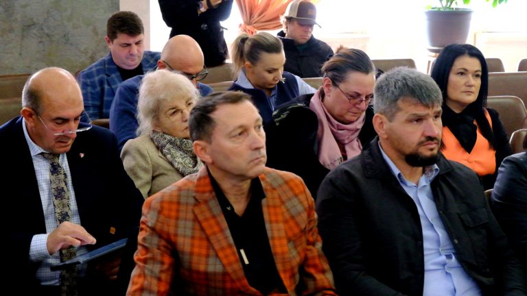 PSD Botosani