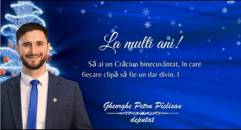 Gheorghe Piclisan, deputat