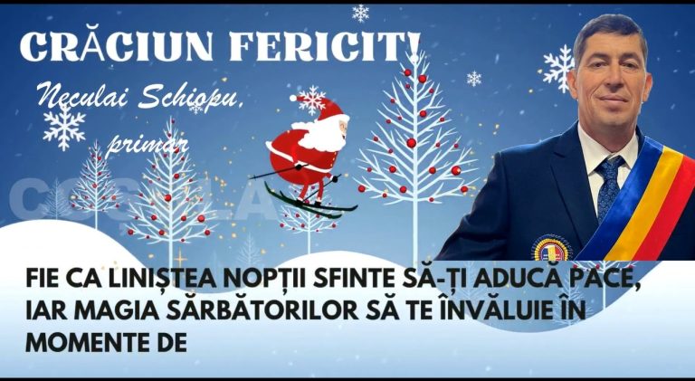 Neculai Schiopu, Cosula