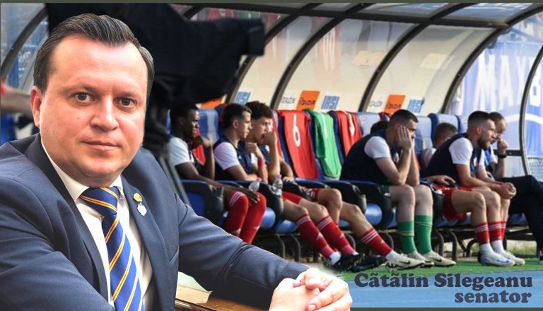 Catalin Silegeanu, stadion FC Botosani