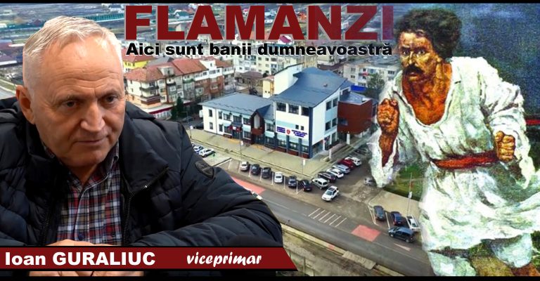 Flamanzi, Ioan Guraliuc, bani, cheltuieli, taxe, impozite, investitii