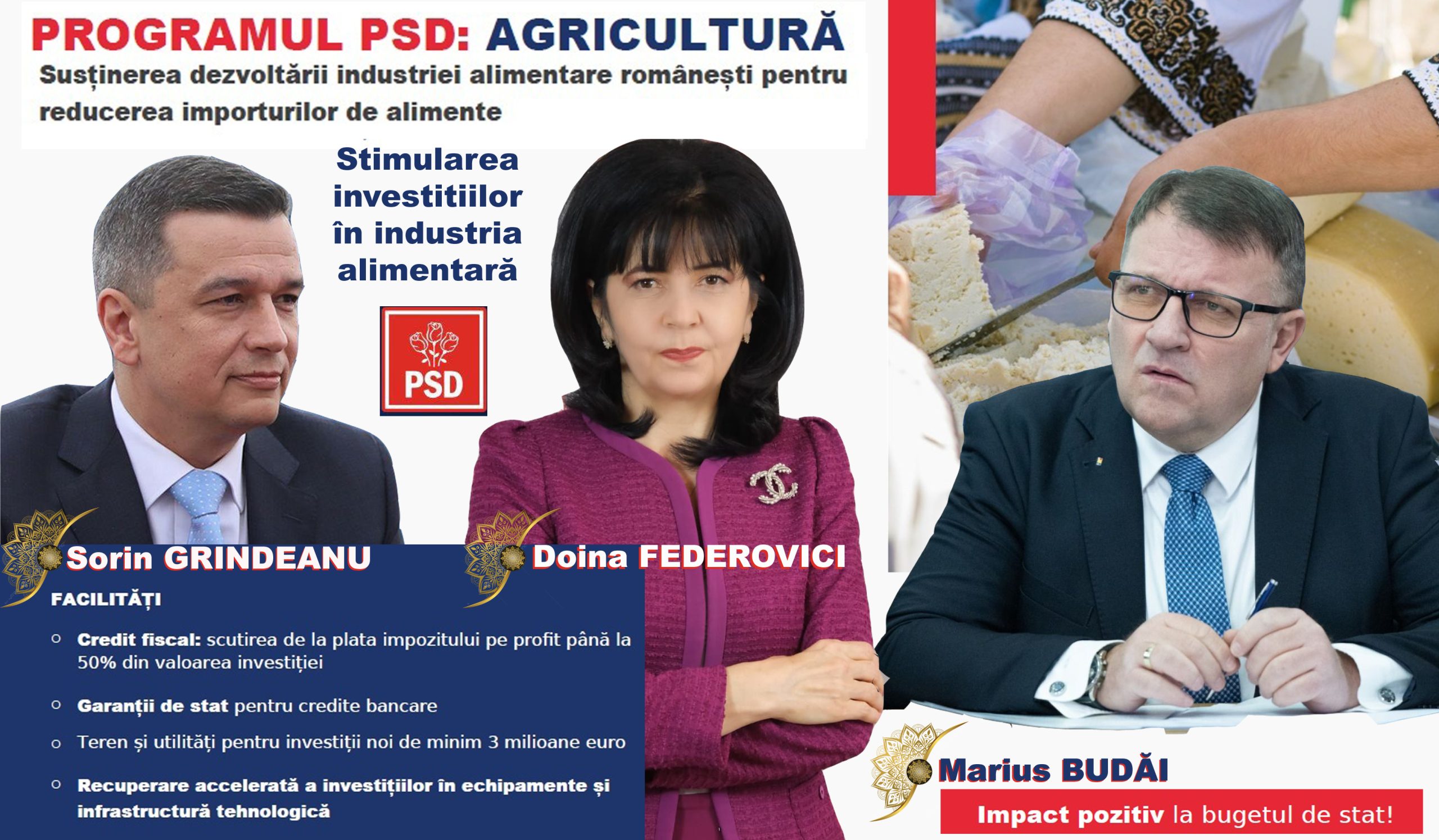 Program de dezvoltare PSD. Sorin Grindeanu, Doina Federovici, Marius Budai, 2026