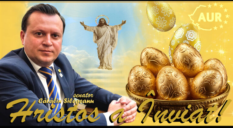 Felicitare Catalin Silegeanu, senator