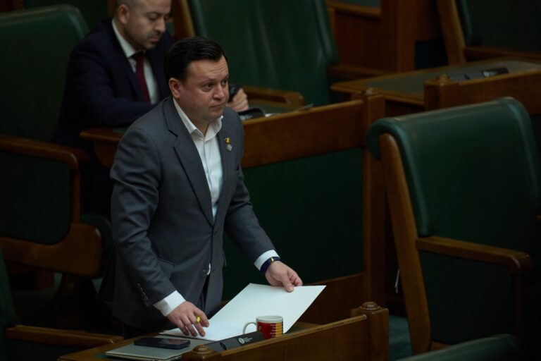 Cătălin Silegeanu robor