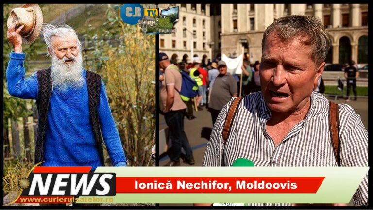 Nechifor, protestul oierilor